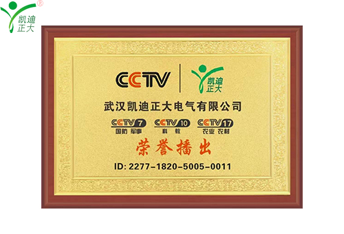 凯迪正大登上CCTV央视广告，全力打造品牌新高度